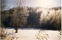 Зимой в горах Белокурихи